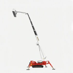 RAGNO 34M PALAZZANI TSJ34